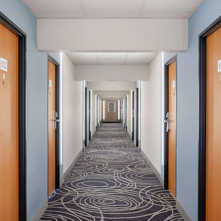 Novotel סגד מראה חיצוני תמונה